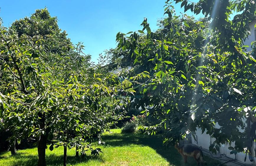 Casă individuală cu 6 camere cu Teren 700 Mp în Corbeanca