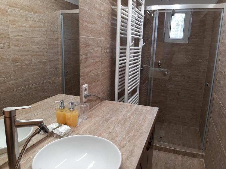 Apartament în Polonă