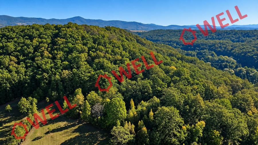 Teren extravilan de 16800 mp, în Bățanii Mici