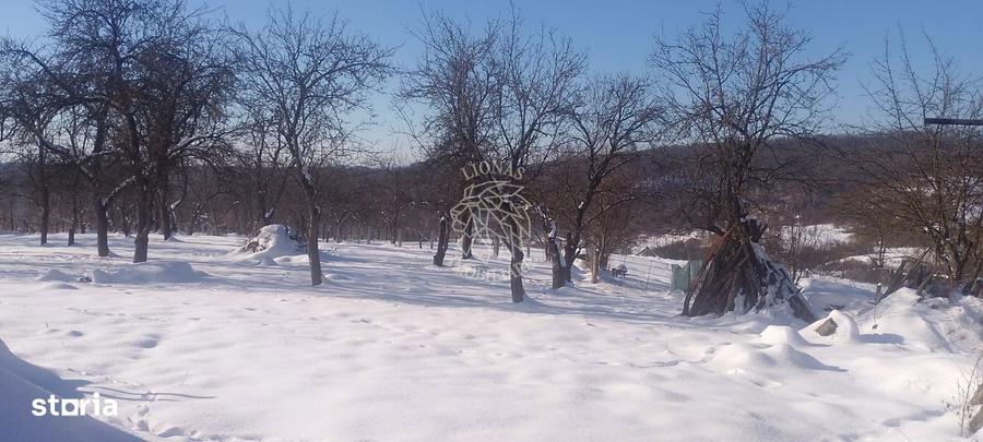 Casă cu 3 camere cu Teren 15000 Mp în Chiochiș