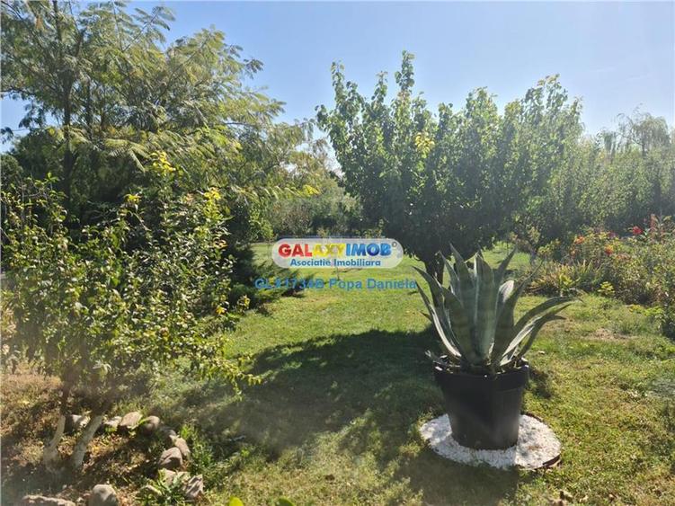 Casă cu 5 camere cu Teren 2400 Mp în Sărulești