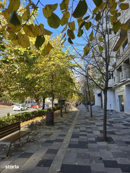 Vanzare Apartament 4 Camere Decomandat | 115 MP- Decebal - P-ta Muncii - 14