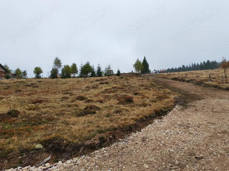 Teren de 2666 mp, în Horea