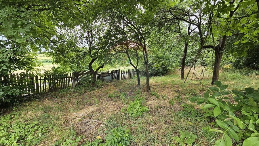 Teren Construcții intravilan de 2036 mp, în Pădureni (Șendriceni)