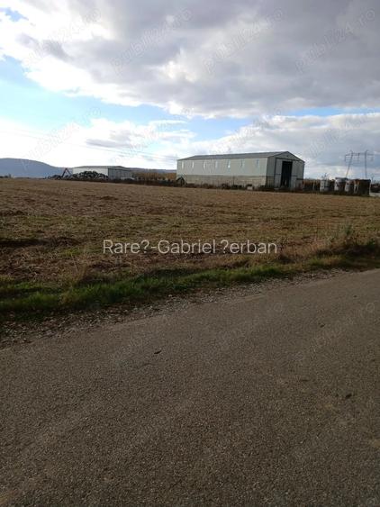 Teren intravilan industrial 5.000 mp 700 m de DN1 utilita?i (gaz, curent, apa, iluminat) Urleta
