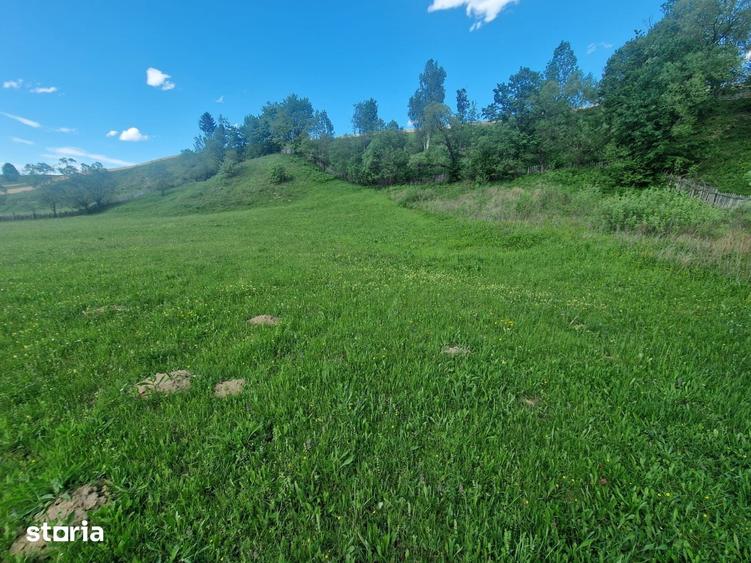 Teren de 3000 mp, în Central
