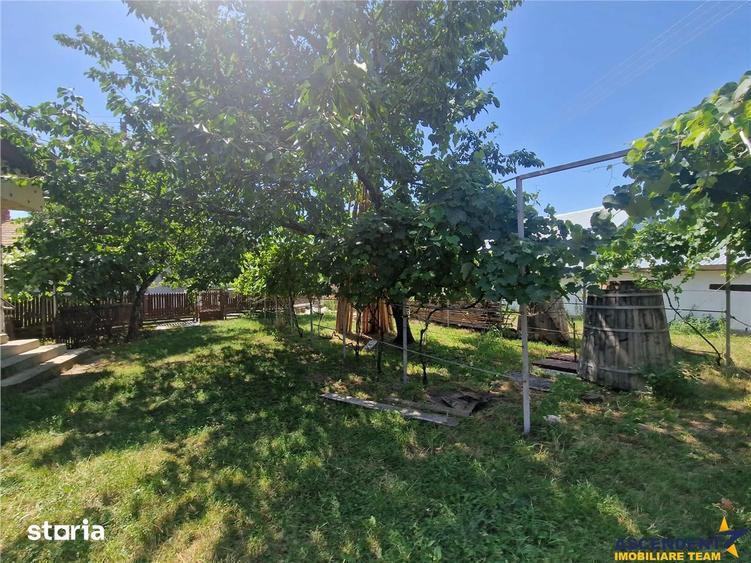 Casa traditionala, cu 2.000mp teren roditor, Izvoarele, Prahova - 5