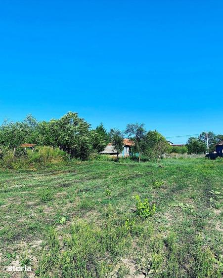 Teren de 1132 mp, în Comana