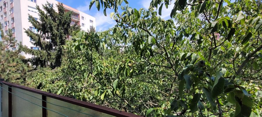 Apartament cu 3 camere decomandat în Mănăștur