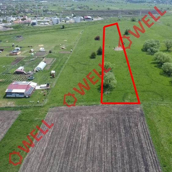 Teren extravilan de 7800 mp, în Nord-Est