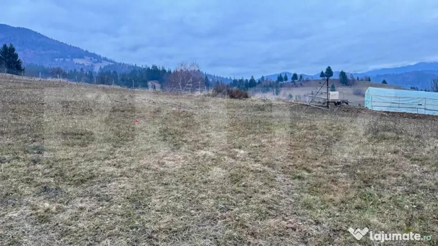 Teren de 2500 mp, în Colibița