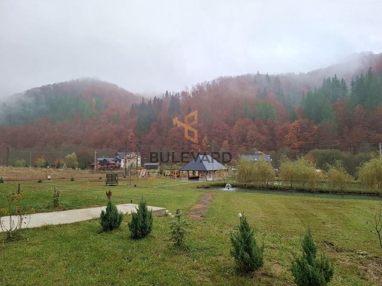 Casă individuală cu 8 camere cu Teren 6300 Mp în Groșii Țibleșului