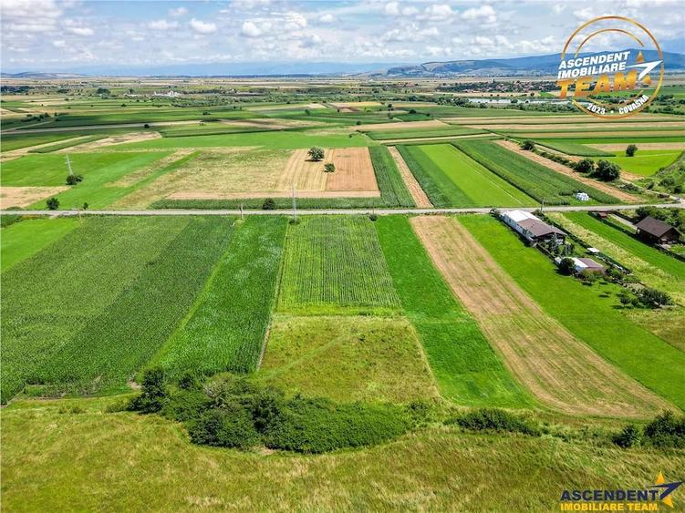 Teren de 7400 mp, în Sâncraiu