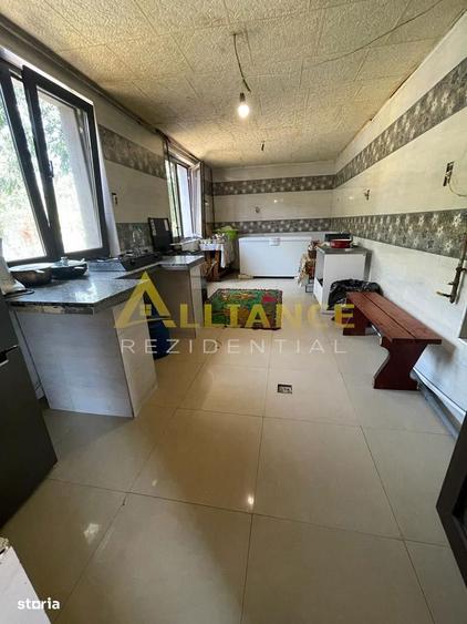Brancoveanu-Nitu Vasile | Casa Individuala- D+P+1+M - 1
