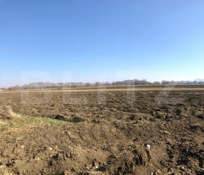 Teren Construcții intravilan de 10000 mp, în Exterior Nord