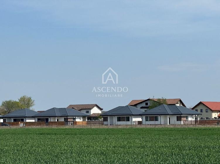 Teren agricol extravilan de 7000 mp, în Tamași
