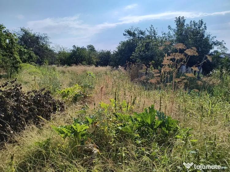 Casă cu 2 camere în Radovan