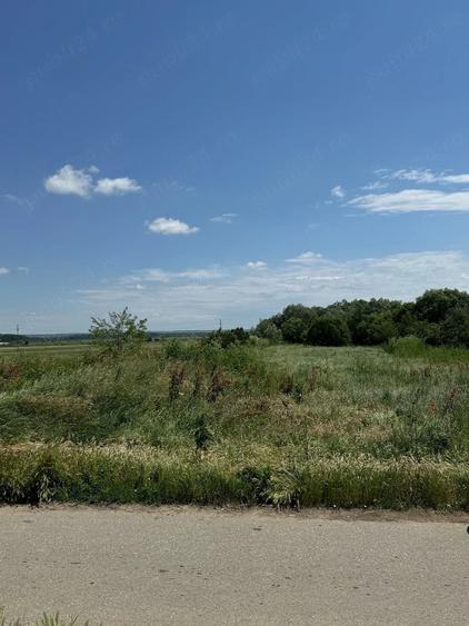 Teren de 2400 mp, în Podari