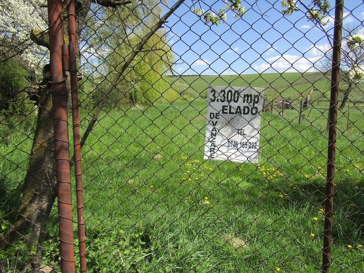 Teren de 3300 mp, în Boroșneu Mic