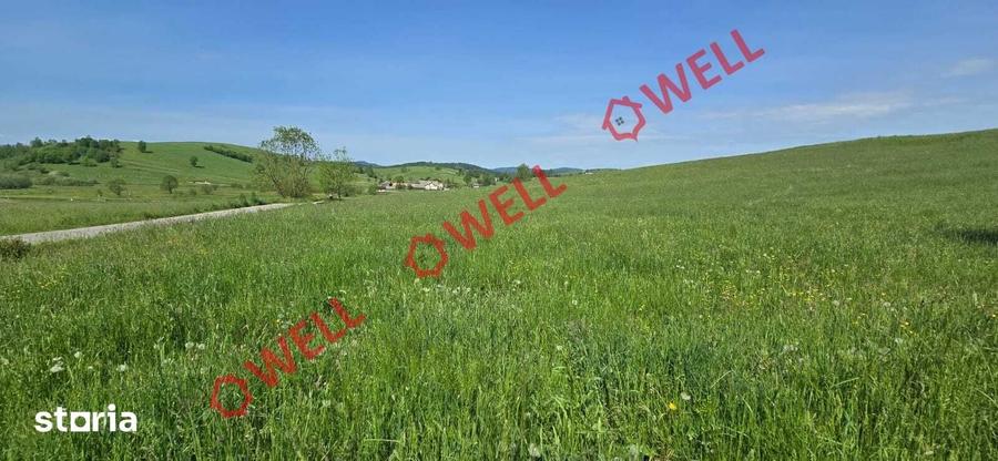 Teren de 3267 mp, în Barcani