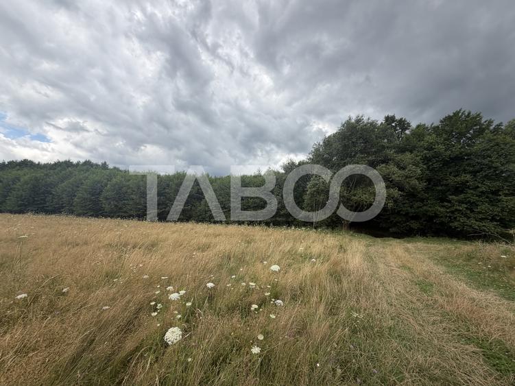 Teren Construcții extravilan de 3500 mp, în Dejani