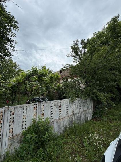 Casă individuală cu 3 camere cu Teren 3000 Mp în Covei