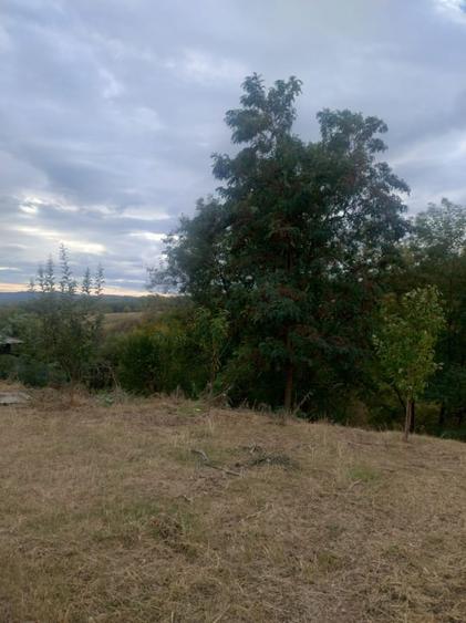 Teren Construcții intravilan de 2050 mp, în Vălenii de Munte