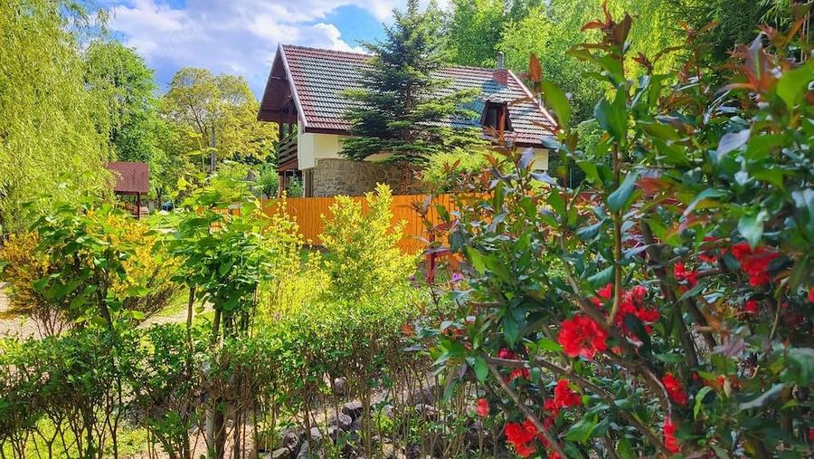 Casă cu 4 camere cu Teren 686 Mp în Vale