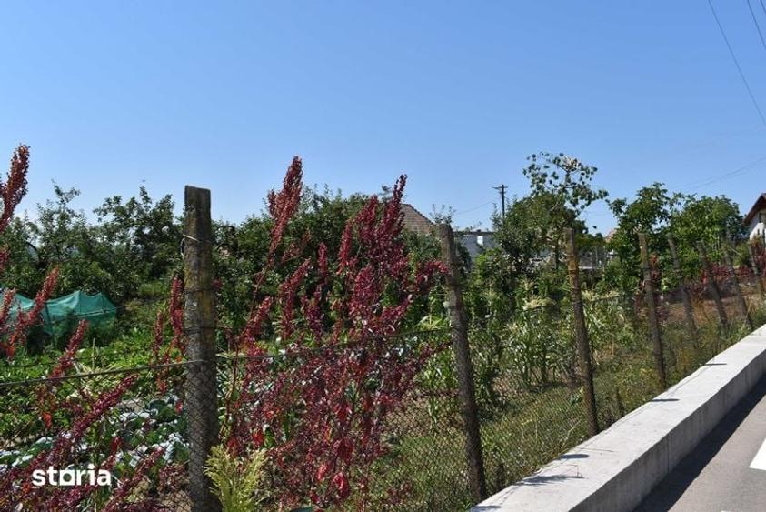 Vand casa, anexe gospodaresti si gradina - 7