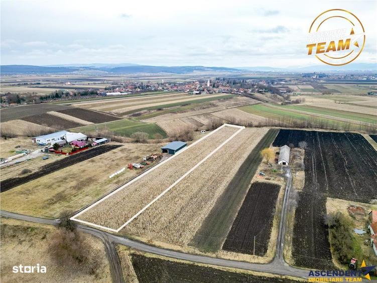 Teren de 5800 mp, în Ilieni