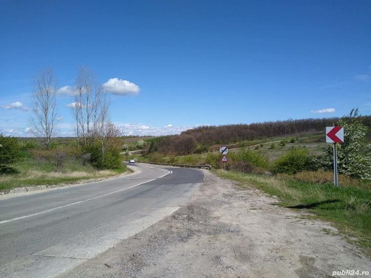 Teren de 17800 mp, în Mischii