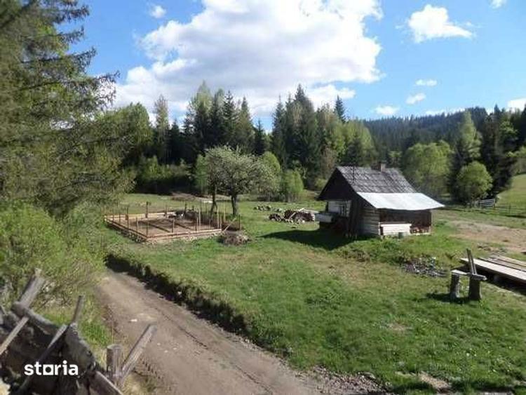 Vand 3000 mp teren intravilan + casuta de munte racordata la EON - 4