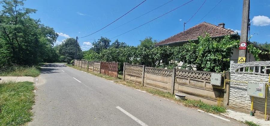 Casă cu Teren 3000 Mp în Central