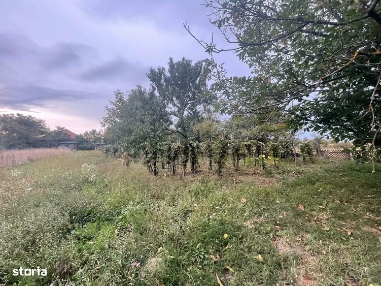 Casă cu 2 camere în Lipău