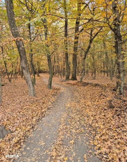 Teren de 700 mp, în Baciu