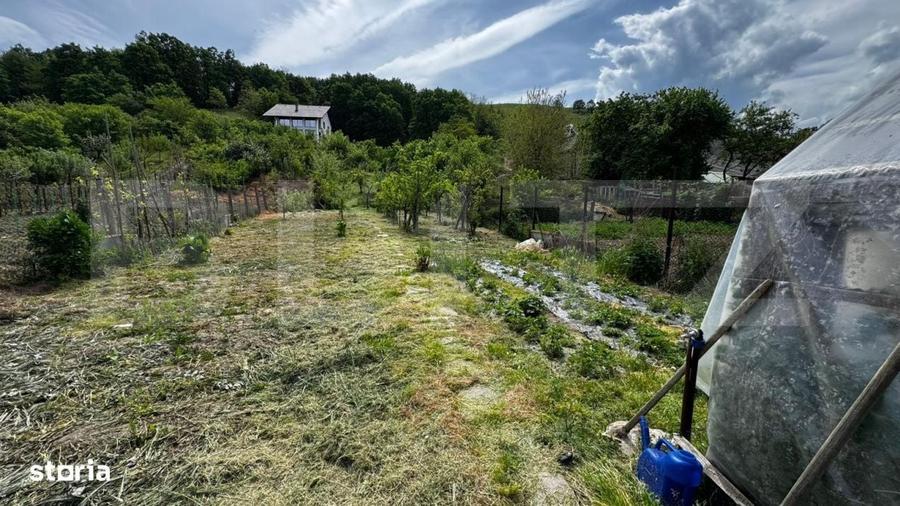 Casă cu 3 camere cu Teren 1180 Mp în Săsciori