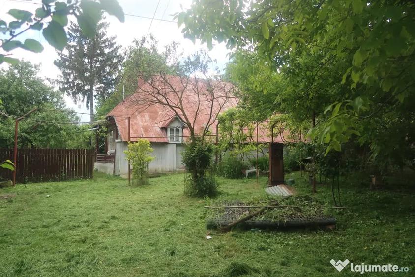 Casă cu 5 camere în Valea Arinilor