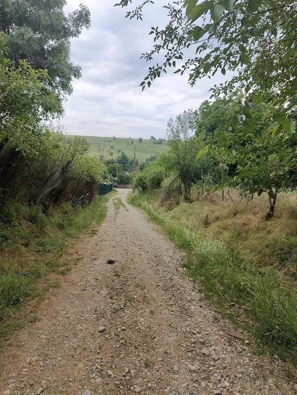 Casă cu 2 camere cu Teren 1800 Mp în Lunca