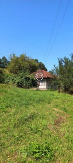 Teren agricol intravilan de 8644 mp, în Valea Bradului