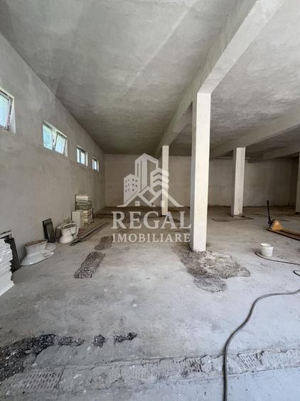 Spațiu industrial, de 250 mp, în Nord-Vest