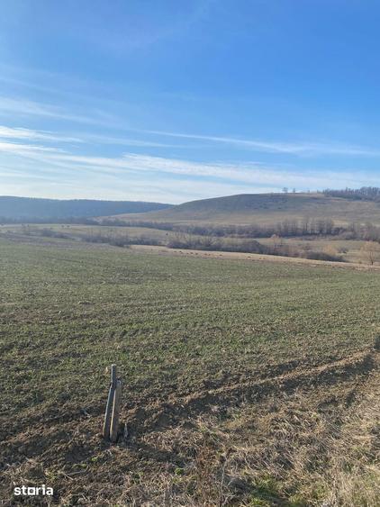 Teren de 3900 mp, în Hidiș