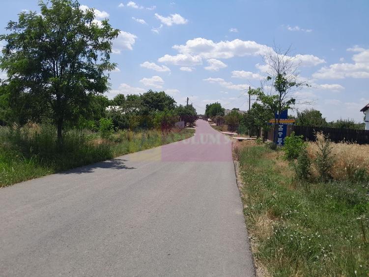 Teren Construcții intravilan de 16500 mp, în Teișori