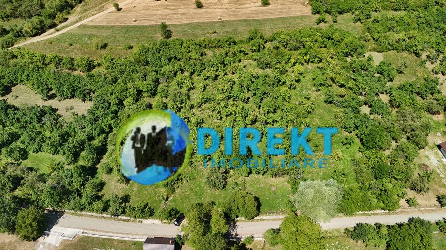 Teren Construcții extravilan de 2200 mp, în Budacu de Sus