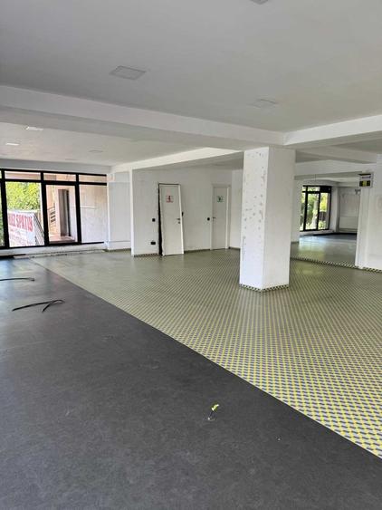 Spațiu comercial, de 450 mp, în Plopilor
