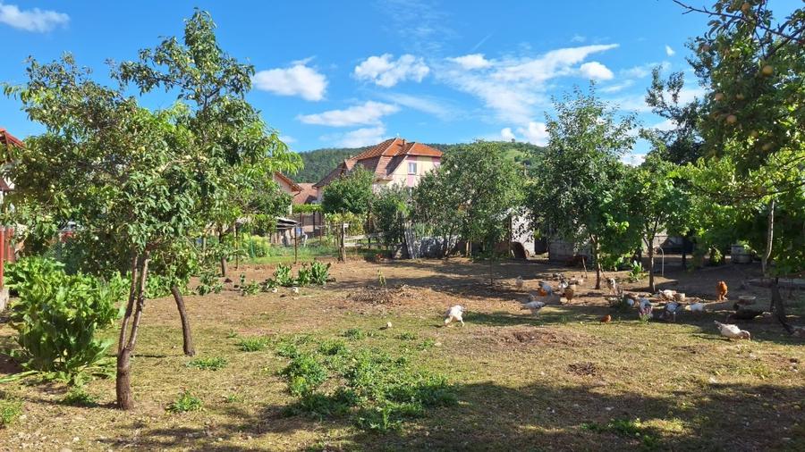 Casă individuală cu 2 camere cu Garaj în Central