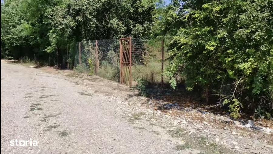 Teren de 26615 mp, în Conțești