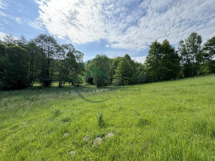 Teren Construcții extravilan de 2900.0100097656 mp, în Lisnău-Vale