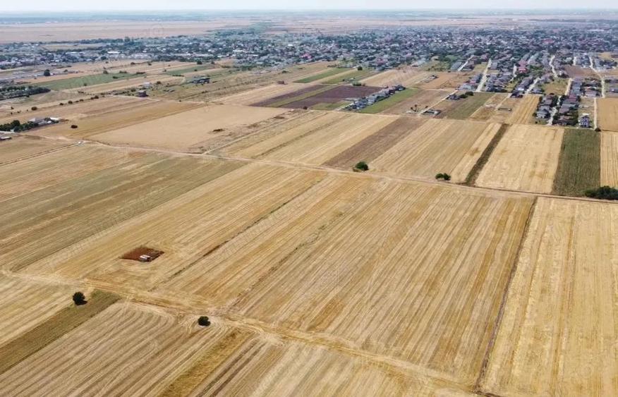 Teren de 320 mp, în Berceni