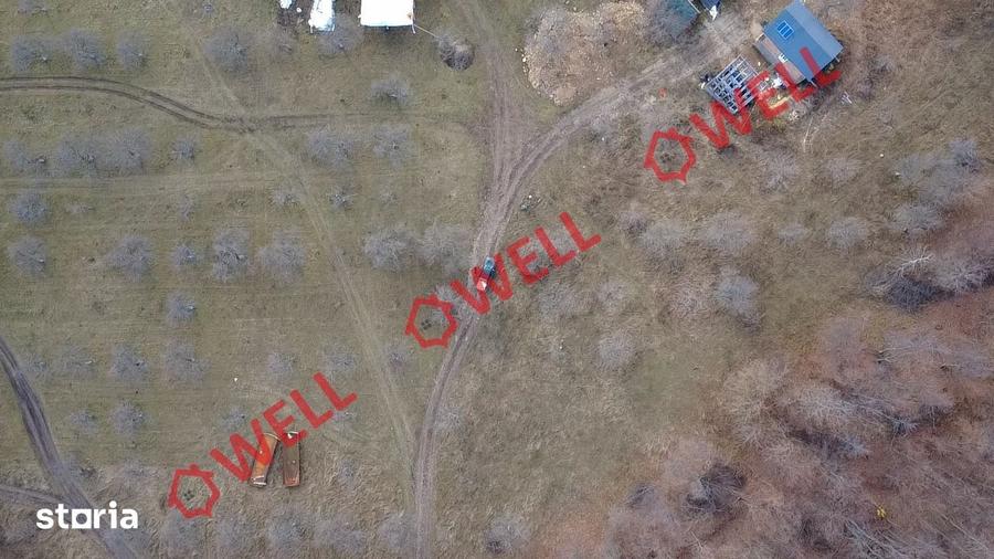 Teren extravilan de 25.274 m2 de vanzare in Calnic, langa padure! - 4