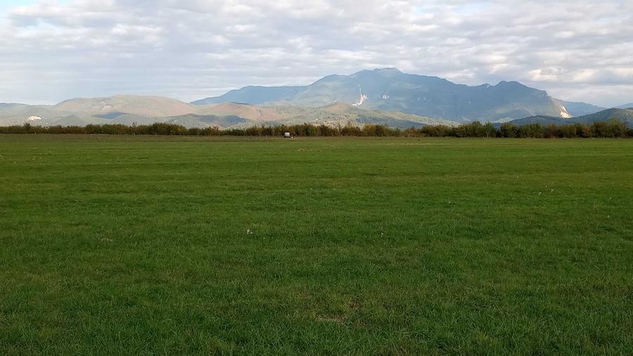 Spațiu comercial, în Central
